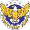 森林维尔老鹰